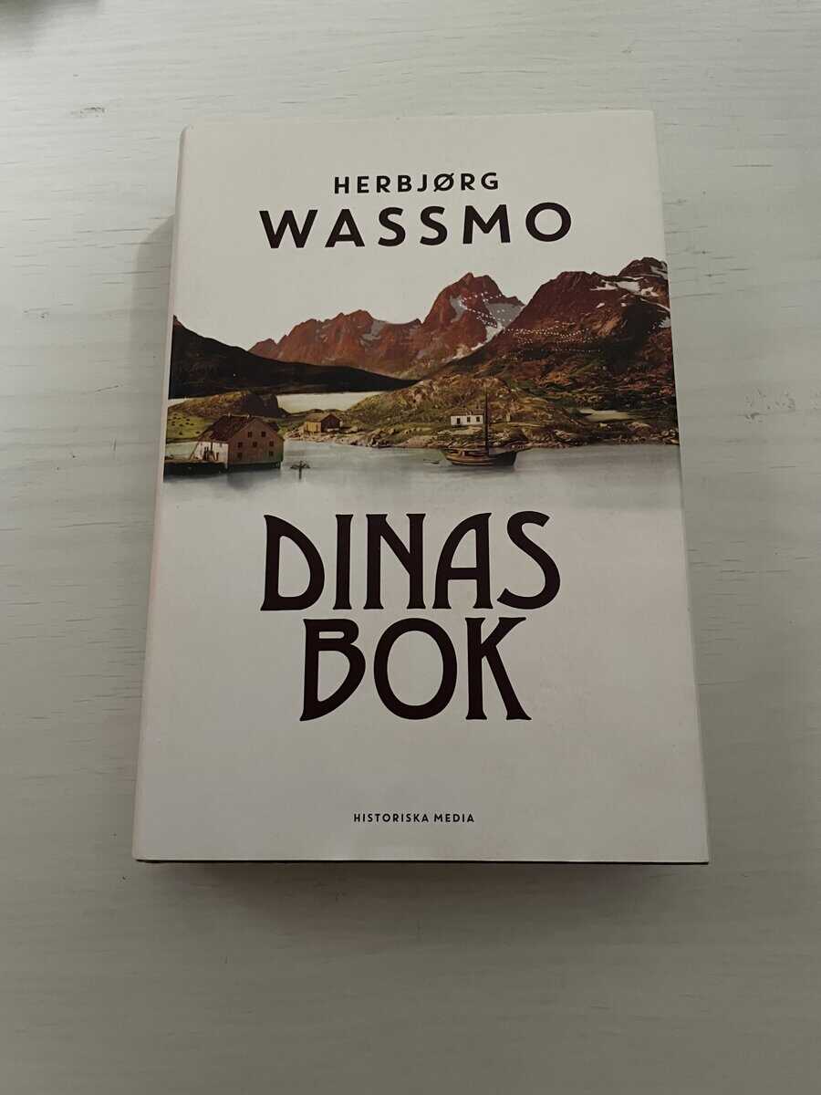 Herbjørg Wassmo : Dinas bok