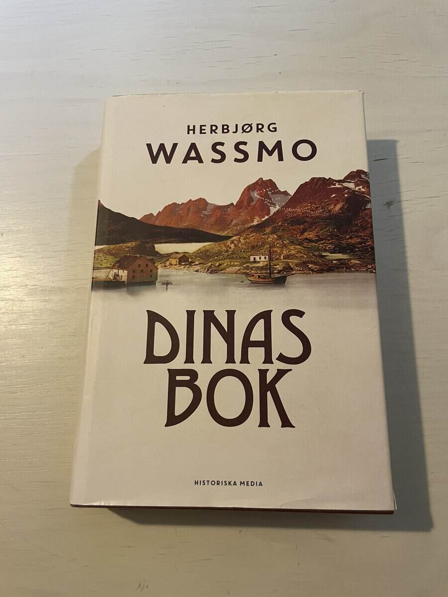 Herbjørg Wassmo : Dinas bok