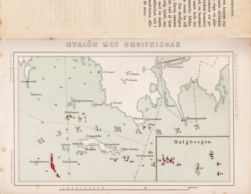 Herman Alfred Callmé : Om de nybildade Hjelmar-öarnes vegetation. Med en karta