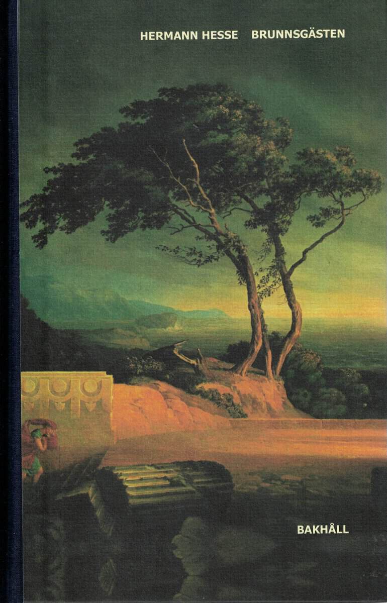 Hermann Hesse : Brunnsgästen