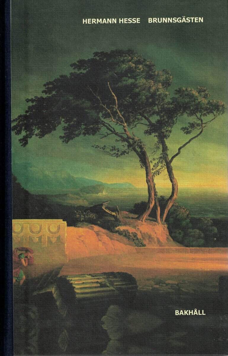 Hermann Hesse : Brunnsgästen