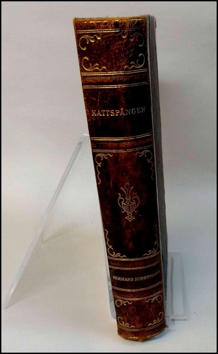 Hermann Sudermann : Kattspången