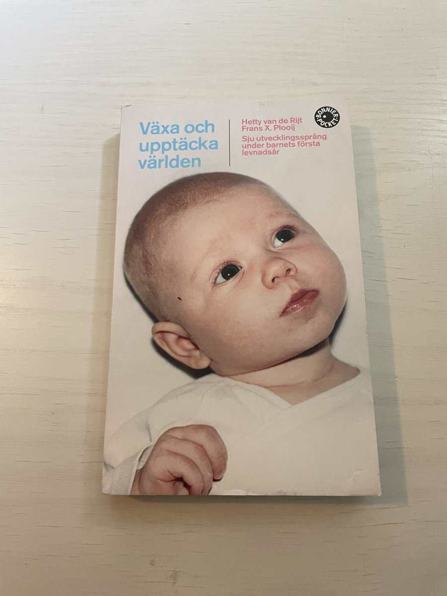 Hetty van de Rijt : Växa och upptäcka världen sju utvecklingssprång under barnets första levnadsår