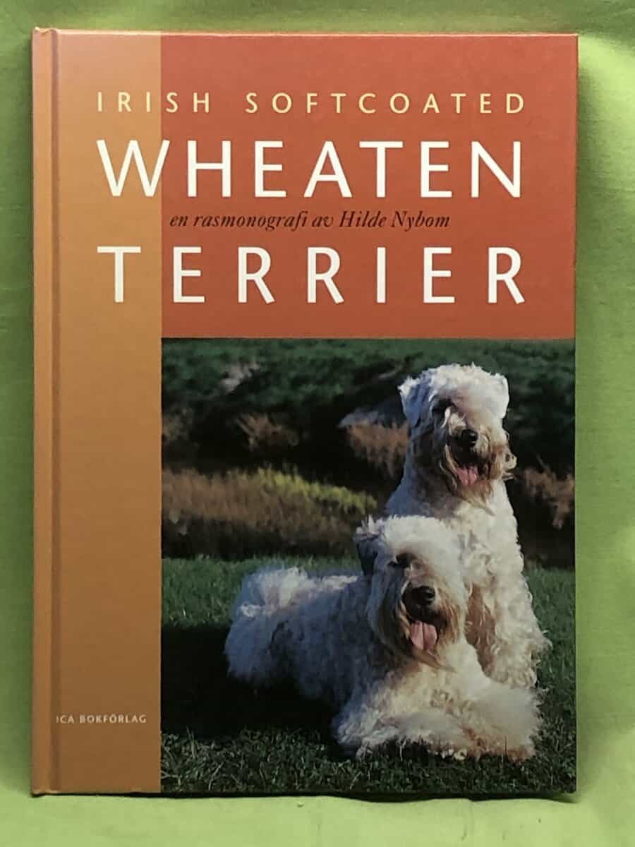 Hilde Nybom : Irish softcoated wheaten terrier