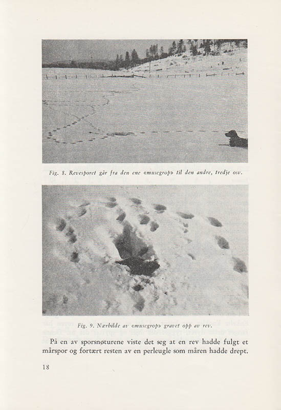 Hjalmar Munthe-Kaas Lund : Reven