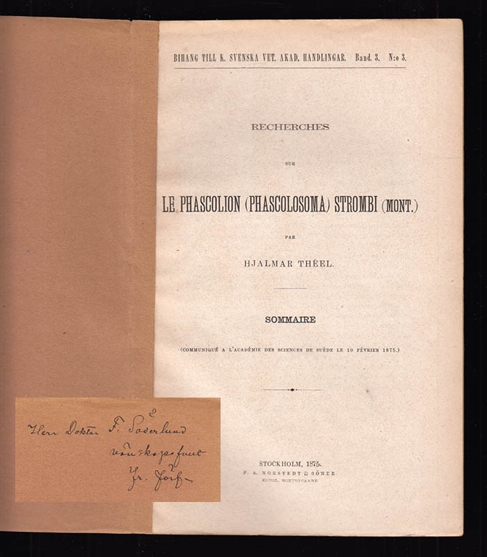 Hjalmar Théel : Recherches sur le Phascolion Strombi (Mont.)