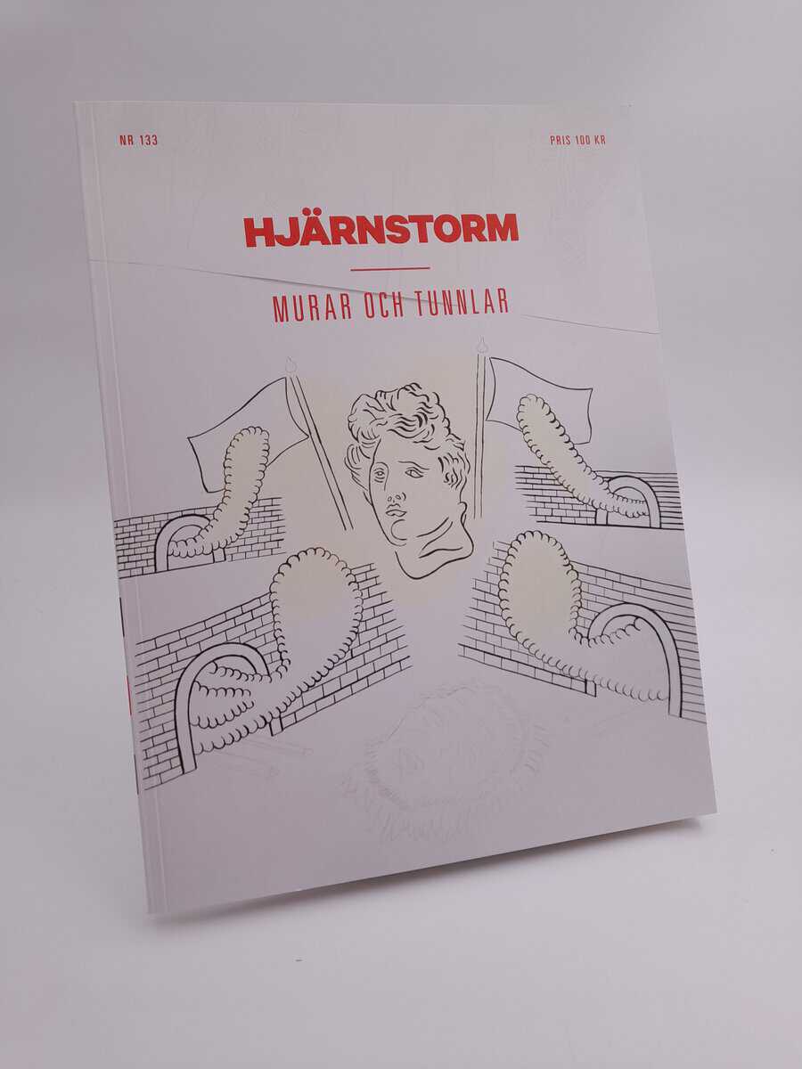 Hjärnstorm : 133