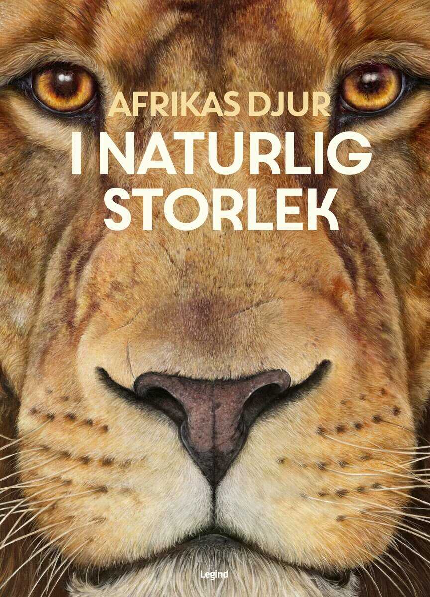 Holger Haag : Afrikas djur : i naturlig storlek