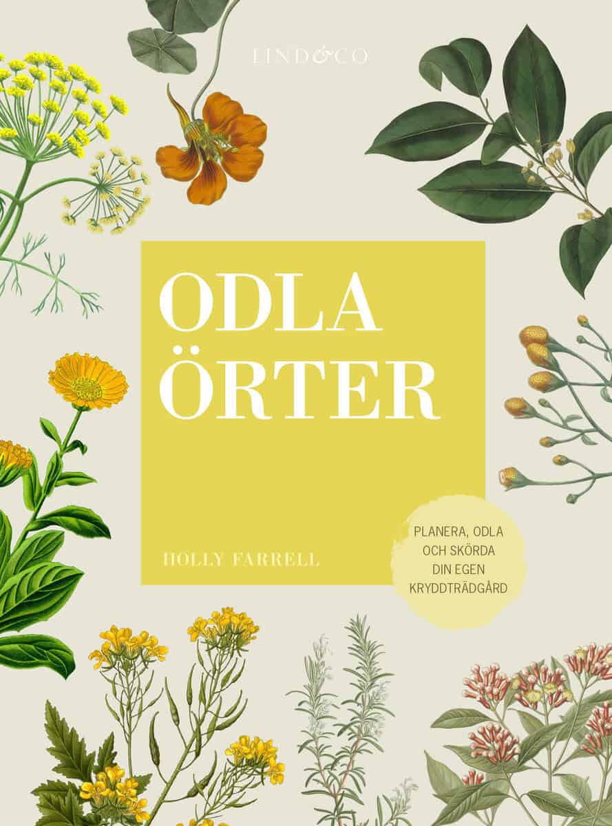 Holly Farrel : Odla örter