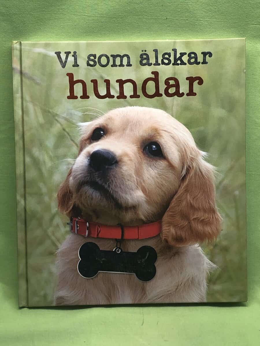 Honor Head : Vi som älskar hundar
