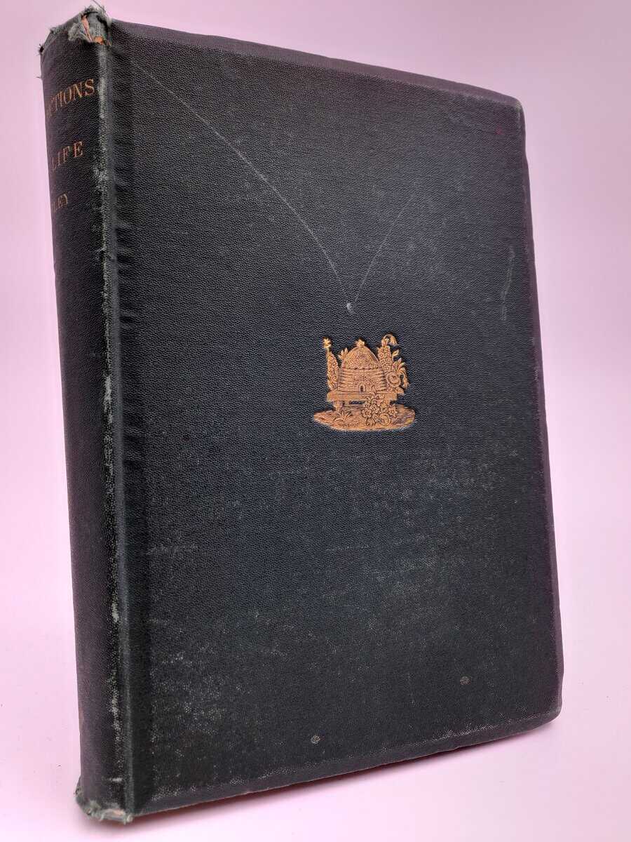 Horace Greeley : Recollections of a busy life