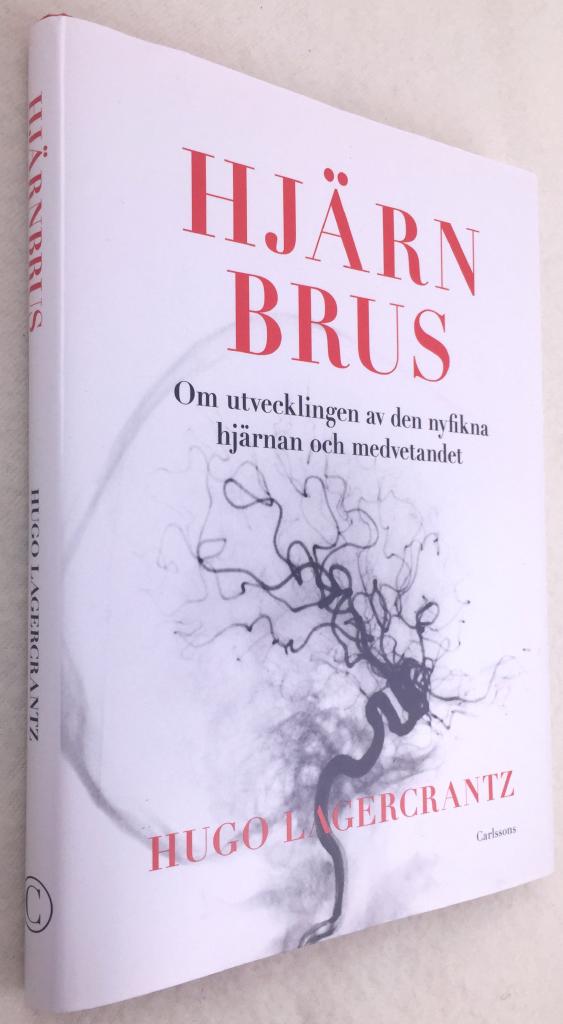 Hugo Lagercrantz : Hjärnbrus