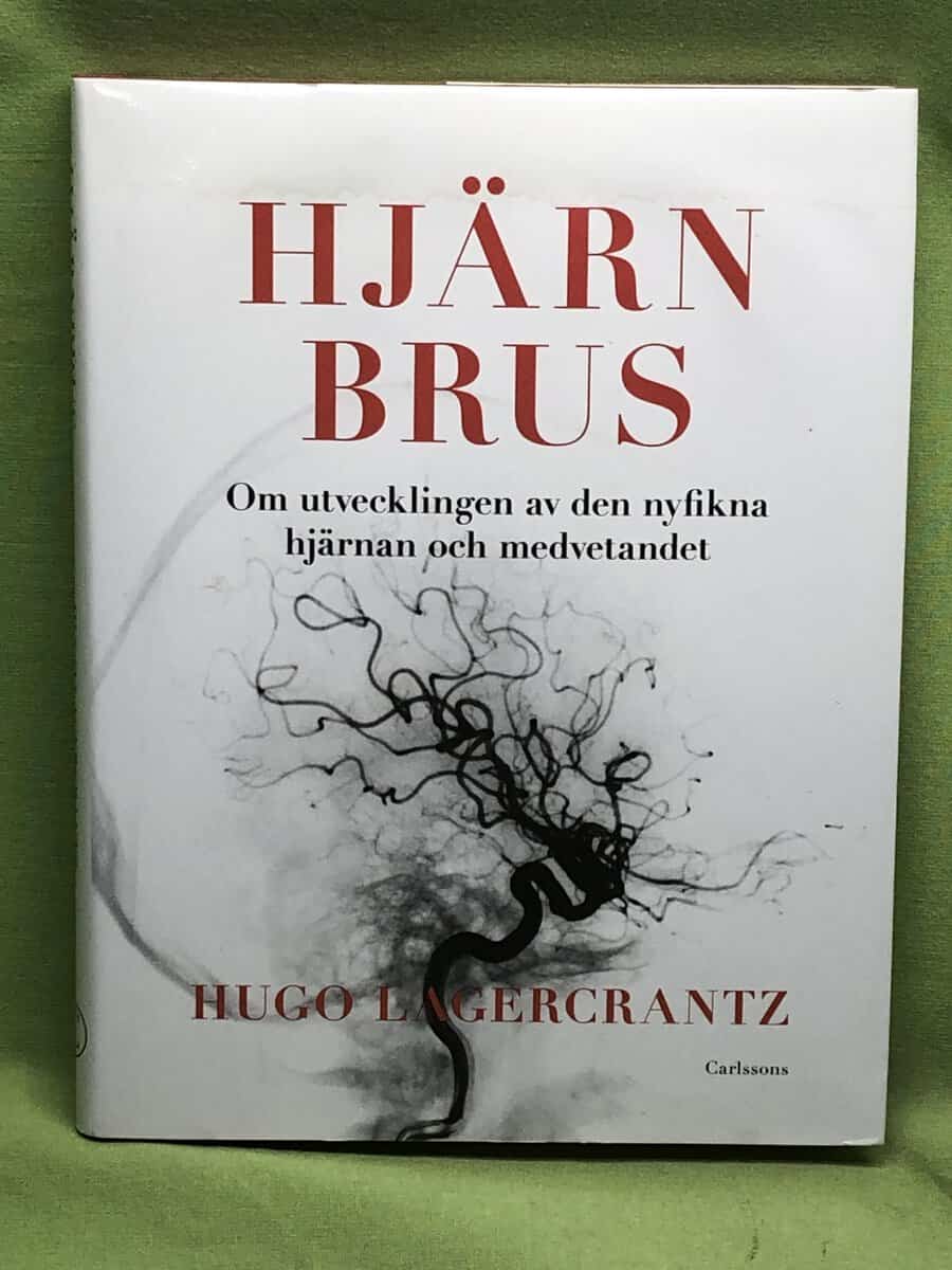 Hugo Lagercrantz : Hjärnbrus
