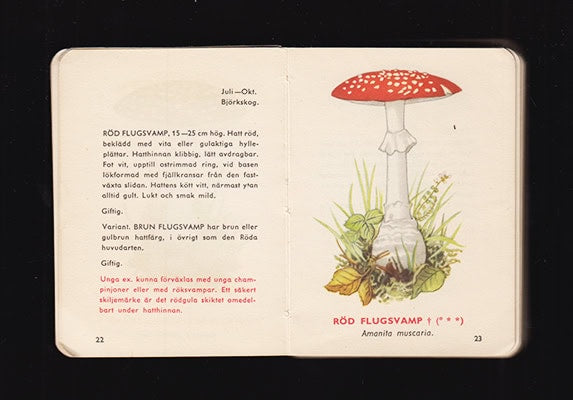 Hugo Stelin : Svampplockarens A och O. Granskad av mykolog Hugo Stelin. A.-B. Del I-II + Två utvikbara svampkartor i tryckt mapp (komplett)
