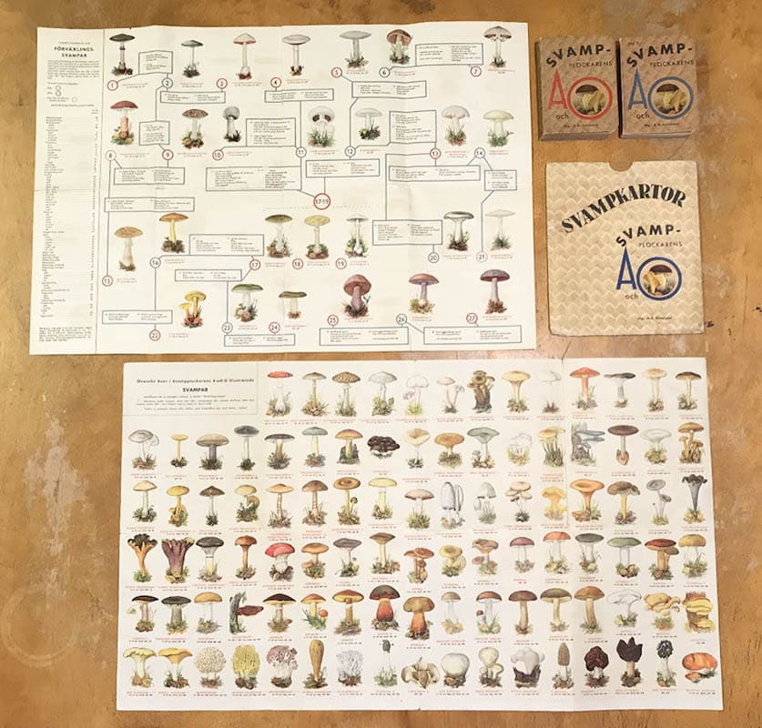 Hugo Stelin : Svampplockarens A och O. Granskad av mykolog Hugo Stelin. A.-B. Del I-II + Två utvikbara svampkartor i tryckt mapp (komplett)