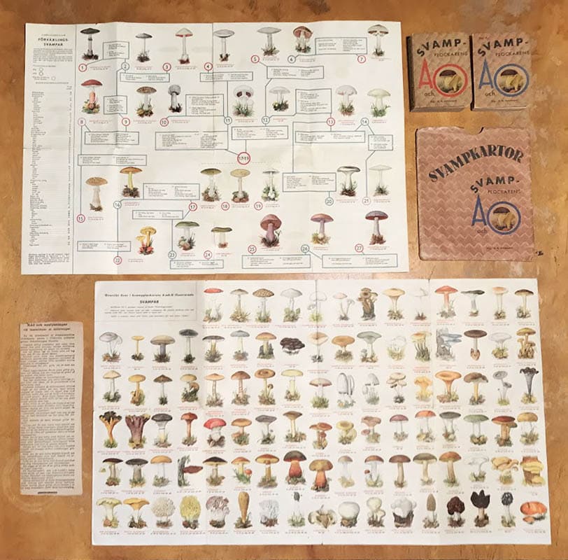 Hugo Stelin : Svampplockarens A och O. Granskad av mykolog Hugo Stelin. A.-B. Del I-II + Två utvikbara svampkartor i tryckt mapp (komplett)