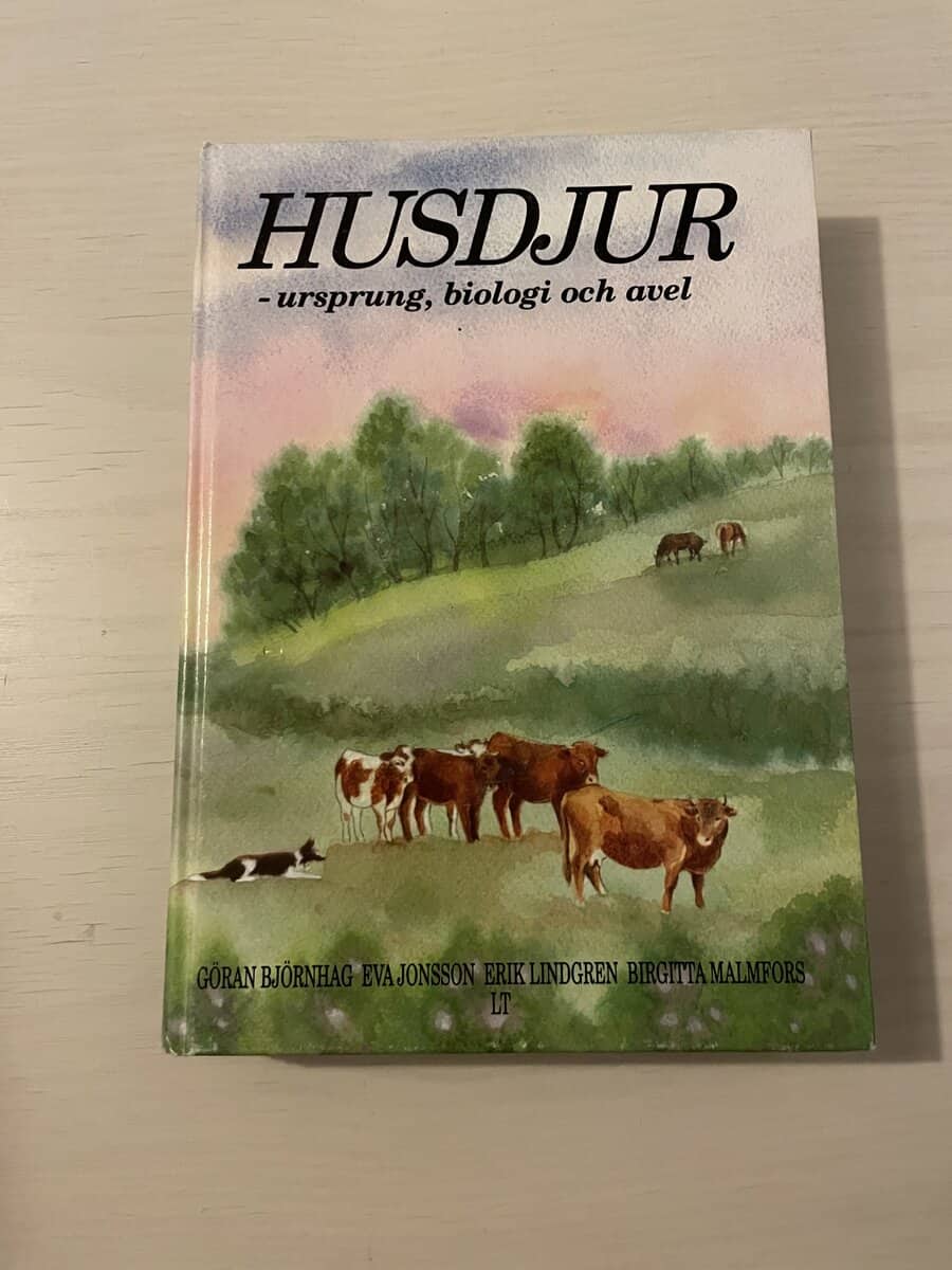 Husdjur