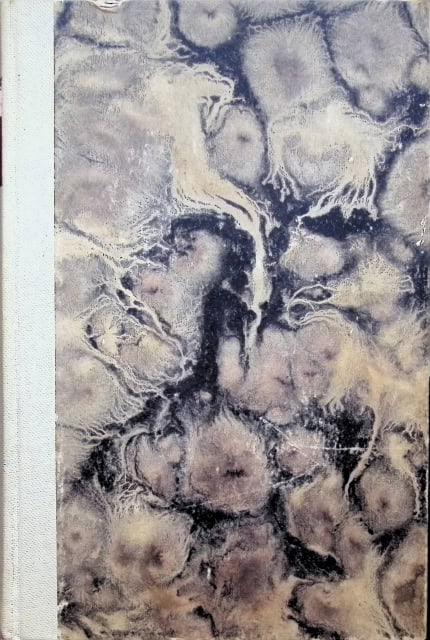 Huygens Ch : Ljus och Skugga., En roman om Rembrandts liv