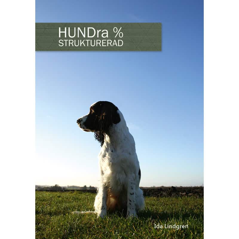 Ida Lindgren : HUNDra % strukturerad