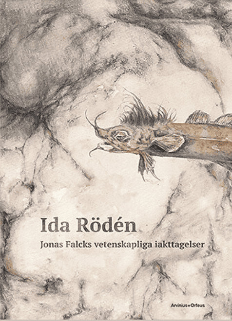 Ida Rödén : Jonas Falcks vetenskapliga iakttagelser