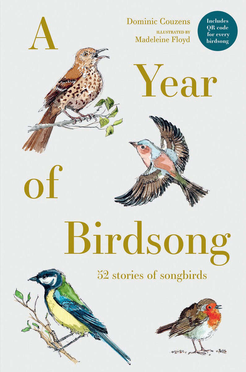 illustrated by Madeleine Floyd Dominic Couzens : A Year of Birdsong