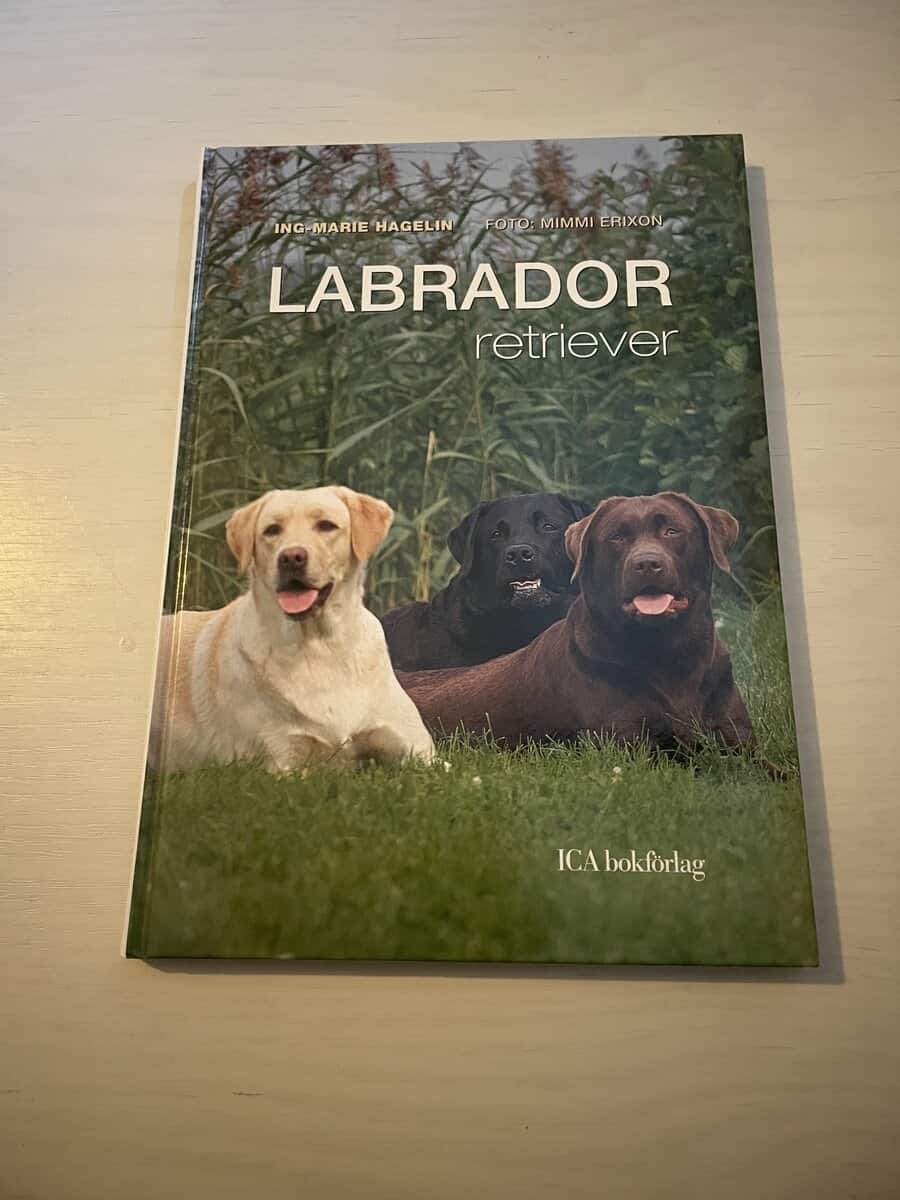 Ing-Marie Hagelin : Labrador retriever