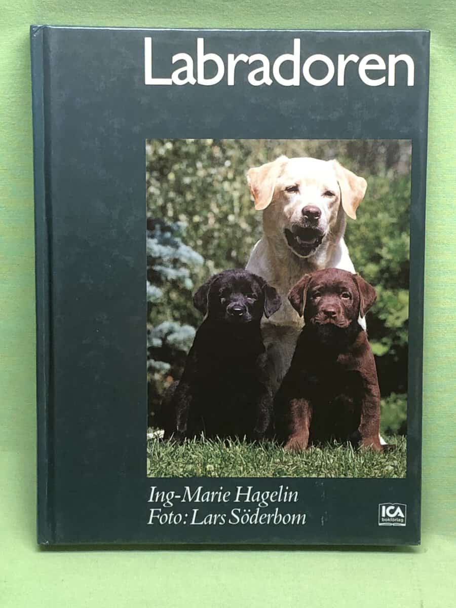 Ing-Marie Hagelin : Labradoren