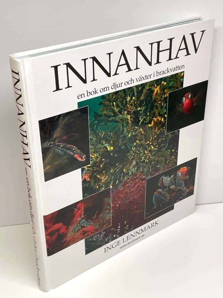 Inge Lennmark : Innanhav