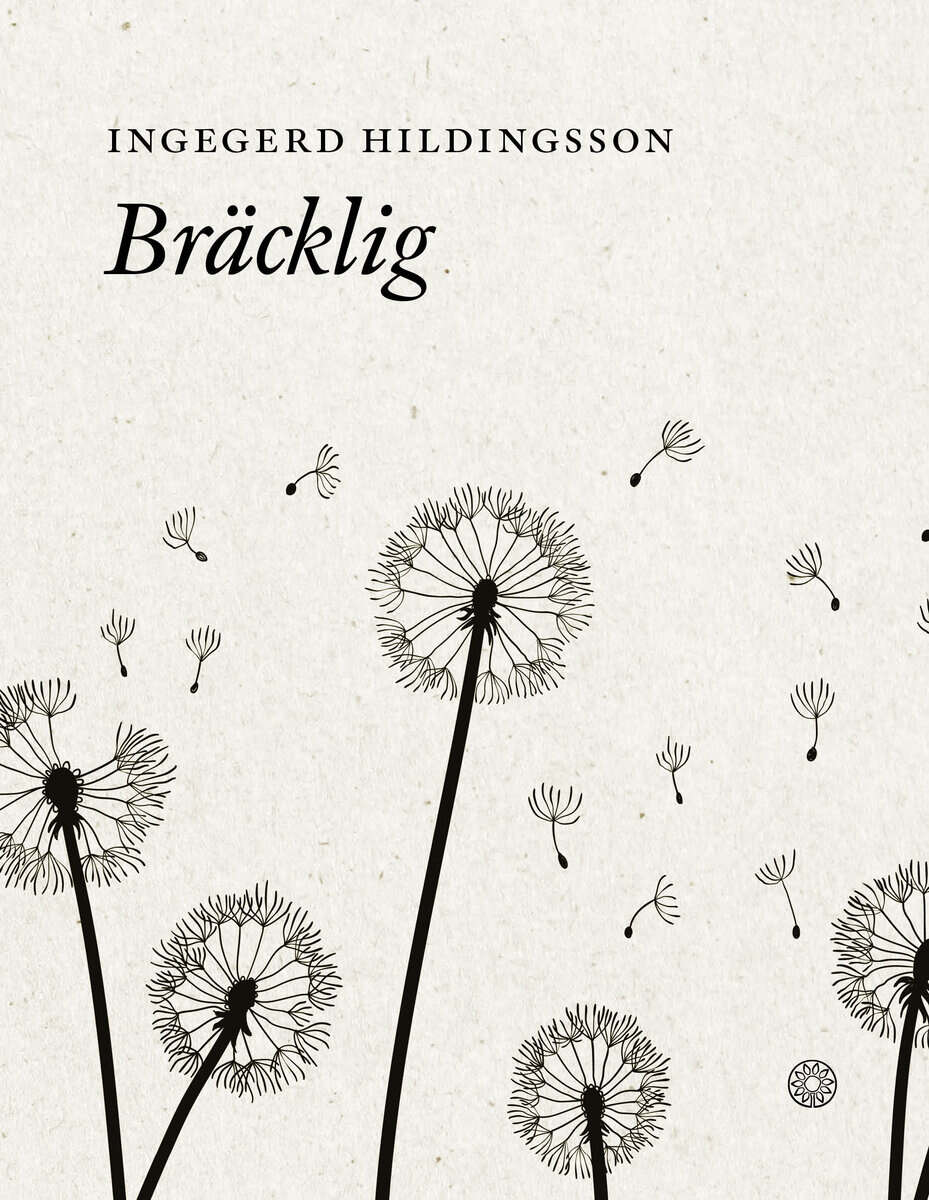 Ingegerd Hildingsson : Bräcklig