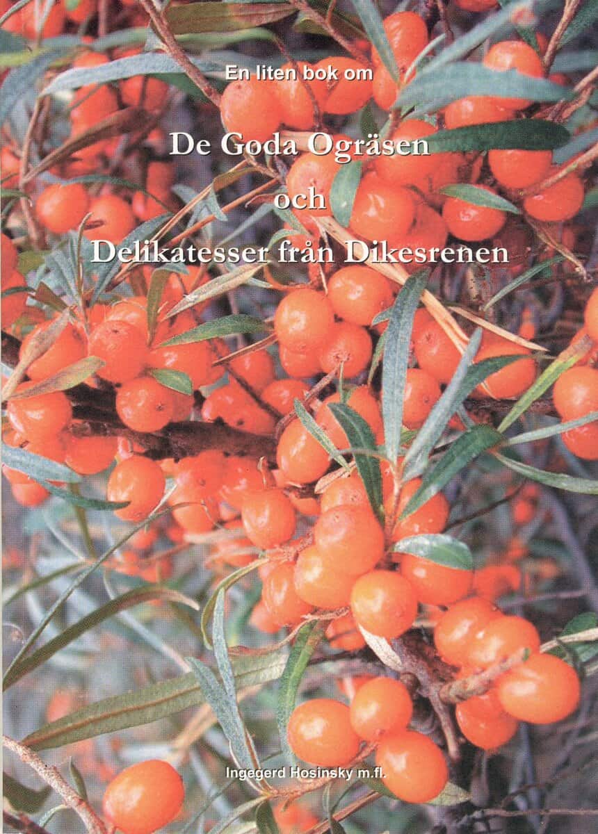 Ingegerd Hosinsky : En liten bok om de goda ogräsen och delikatesser från dikesrenen