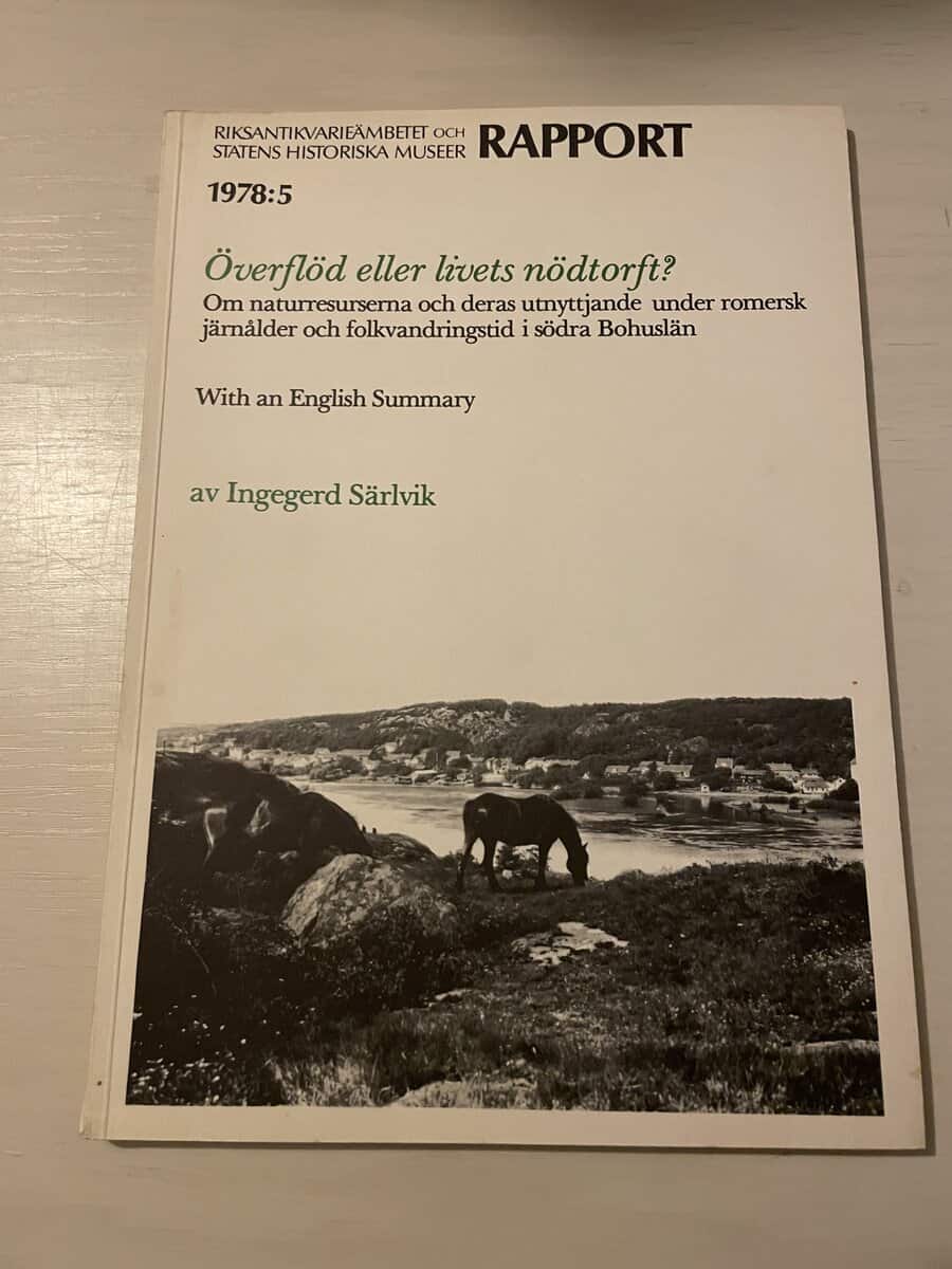 Ingegerd Särlvik : Överflöd eller livets nödtorft?