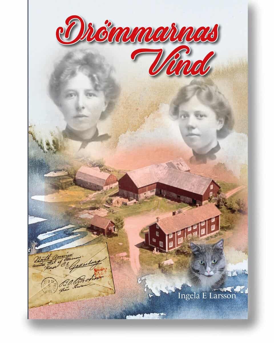 Ingela E. Larsson : Drömmarnas vind