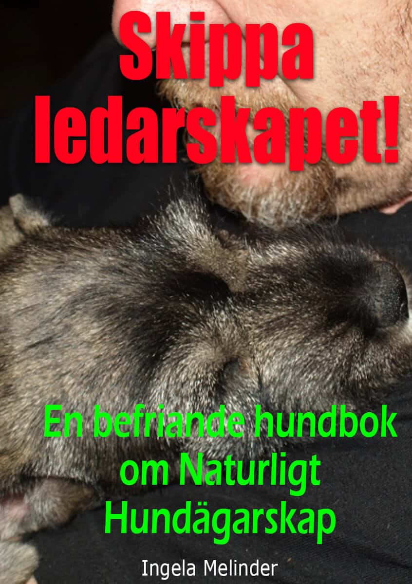 Ingela Melinder : Skippa ledarskapet! : en befriande hundbok om naturligt hundägarskap