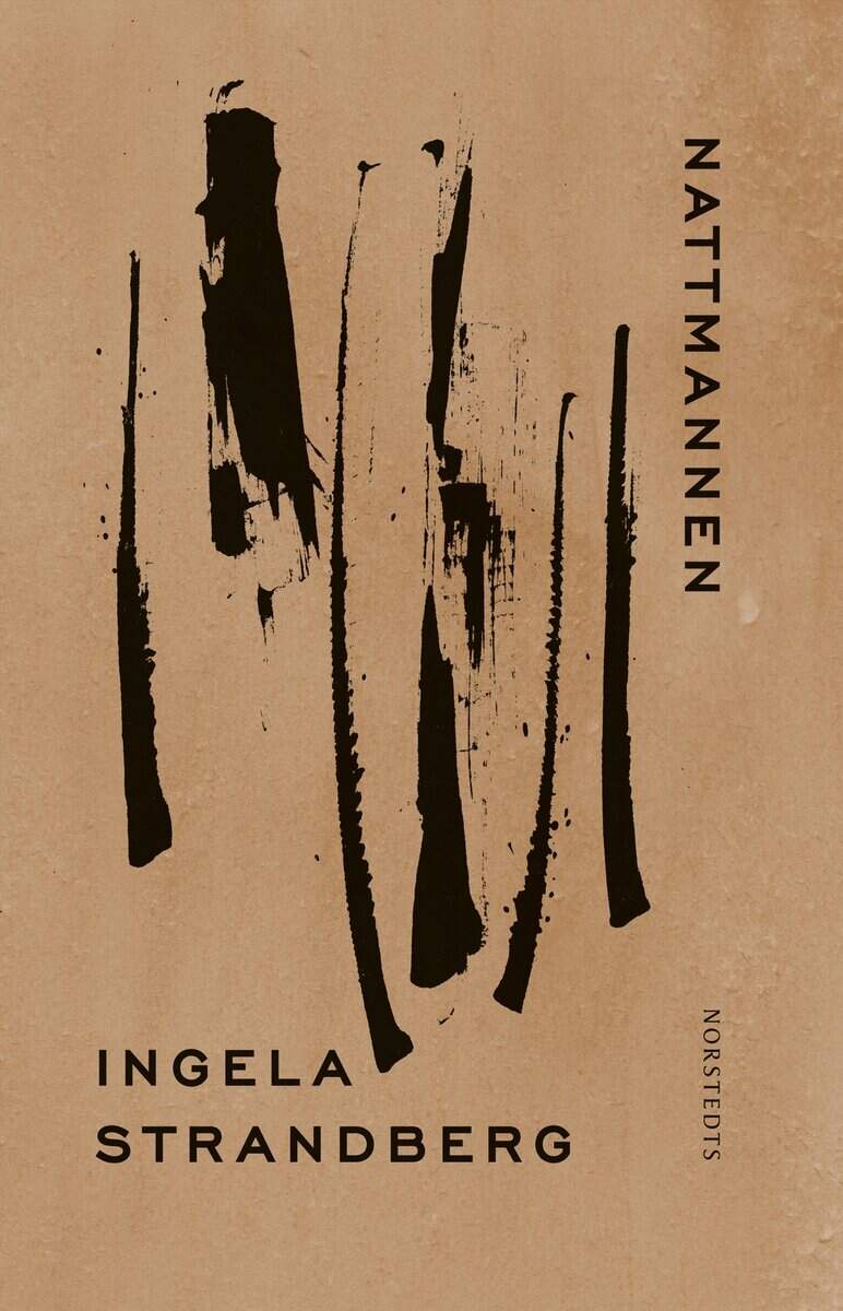 Ingela Strandberg : Nattmannen