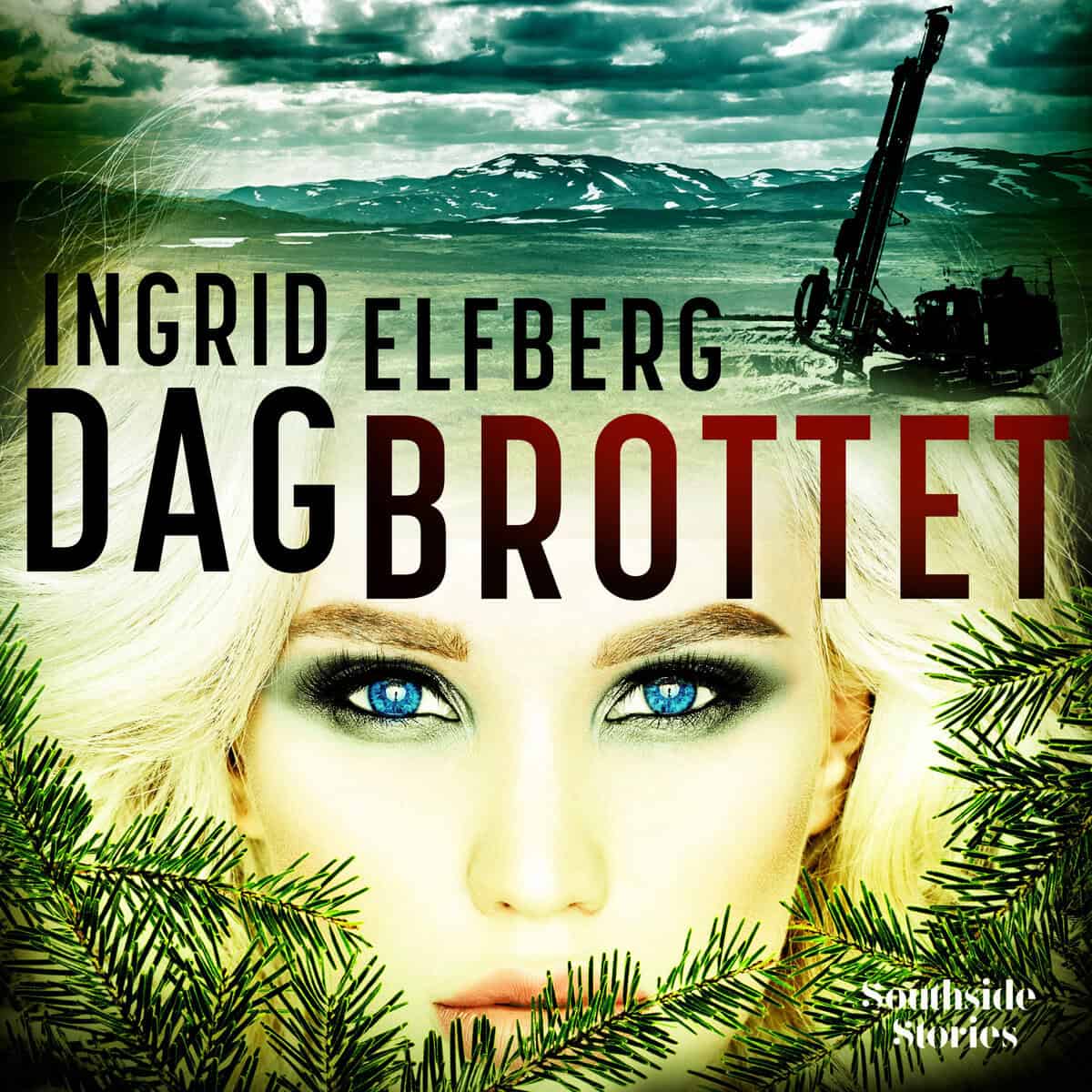 Ingrid Elfberg : Dagbrottet