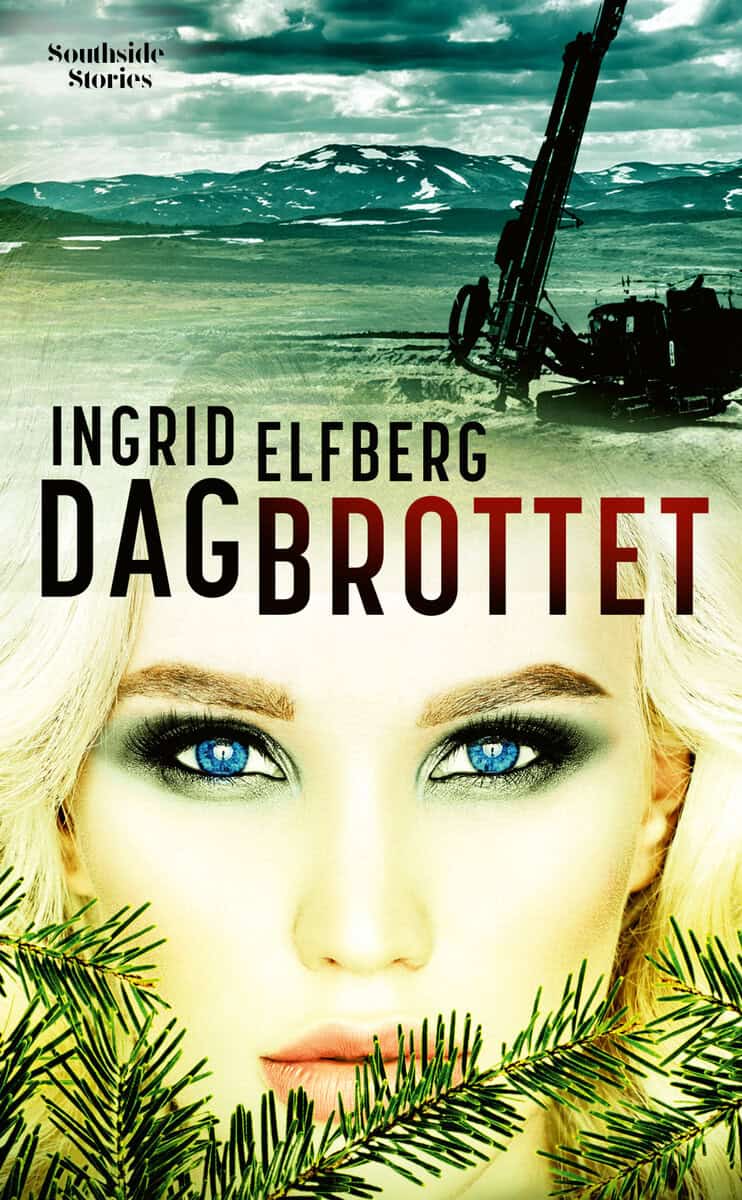 Ingrid Elfberg : Dagbrottet