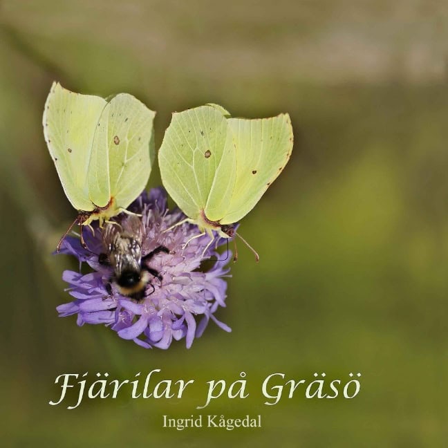 Ingrid Kågedal : Fjärilar på Gräsö : en inventering av dagfjärilar med kamerans hjälp