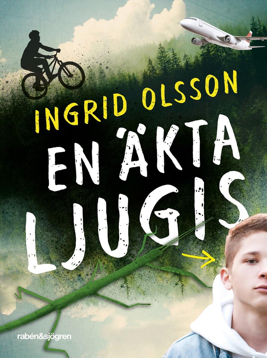 Ingrid Olsson : En äkta ljugis