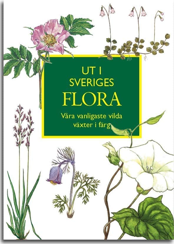 Ingvar Nordin : Ut i Sveriges Flora: våra vanligaste vilda växter i färg