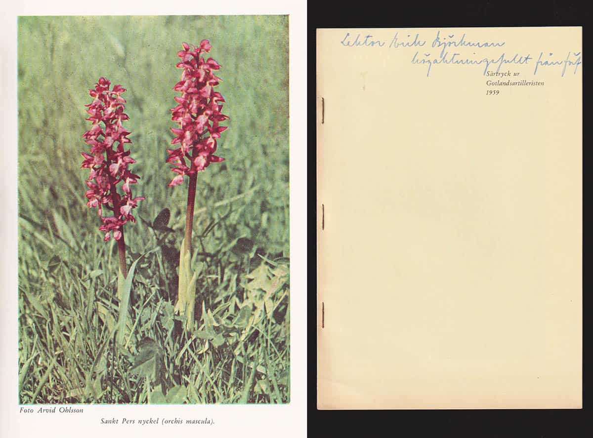 Ingvar Nordin : Vegetation och flora på Tofta skjutfält