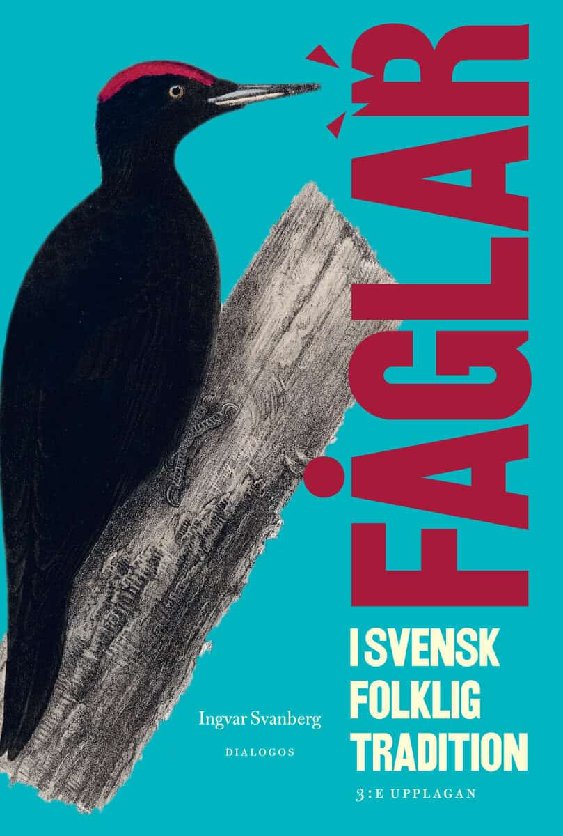 Ingvar Svanberg : Fåglar i svensk folklig tradition