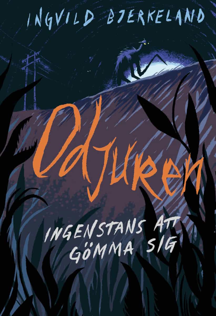 Ingvild Bjerkeland : Ingenstans att gömma sig