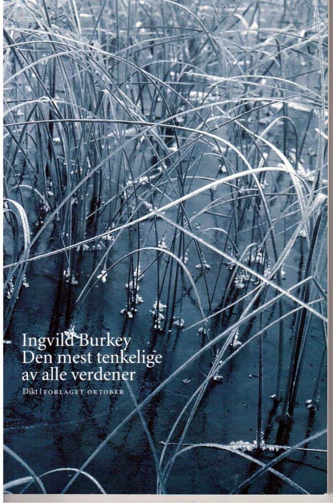 Ingvild Burkey : Den mest tenkelige av alle verdener