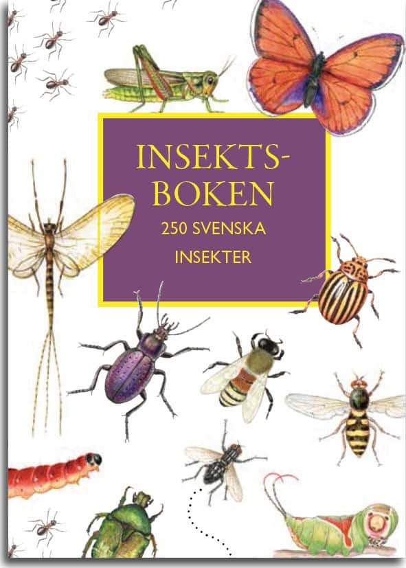 Insektboken