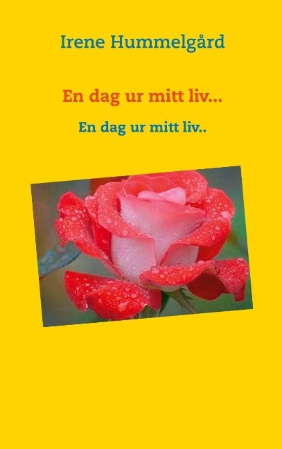 Irene Hummelgård : En dag ur mitt liv...