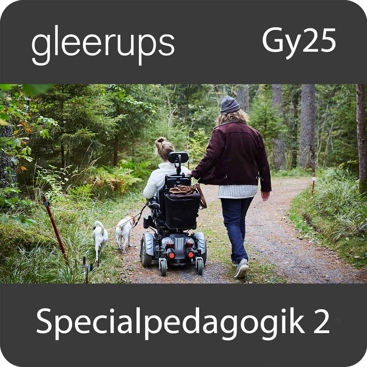 Iréne Larsson : Specialpedagogik 2, digitalt läromedel, elev, 12 mån, Gy25