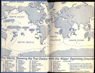 Ivan T Sanderson : Follow the whale