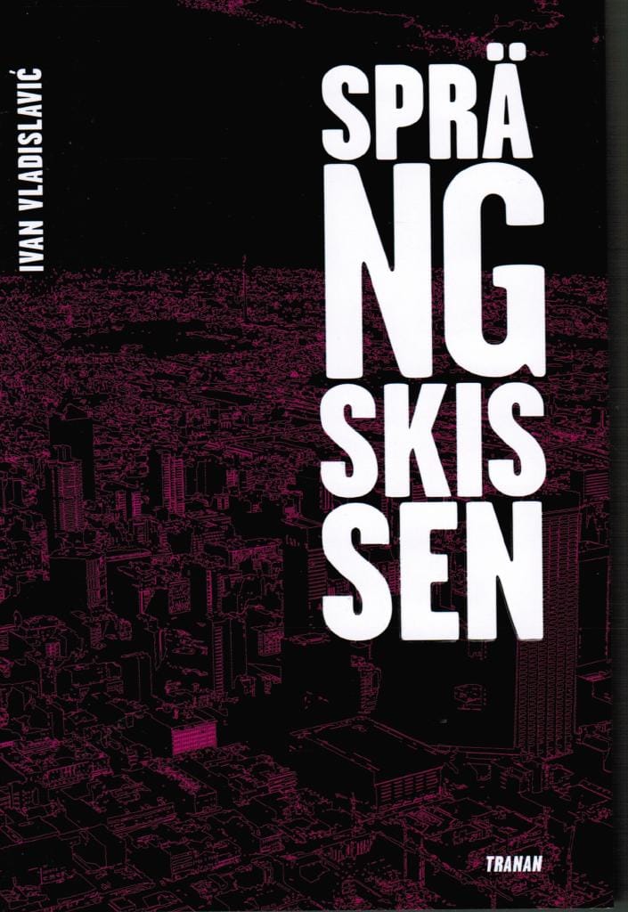 Ivan Vladislavic : Sprängskissen