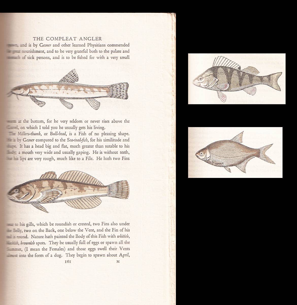 Izaak Walton : The Compleat Angler. The Lives of Donne, Wotton, Hooker, Herbert & Sanderson. With Love & Truth & Miscellaneous Writings. Edited by Geoffrey Keynes. Illustrations by Thomas Poulton and Charles Sigrist