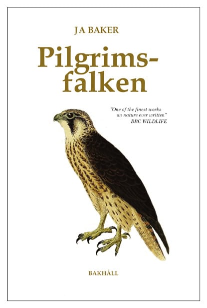 J. A. Baker : Pilgrimsfalken
